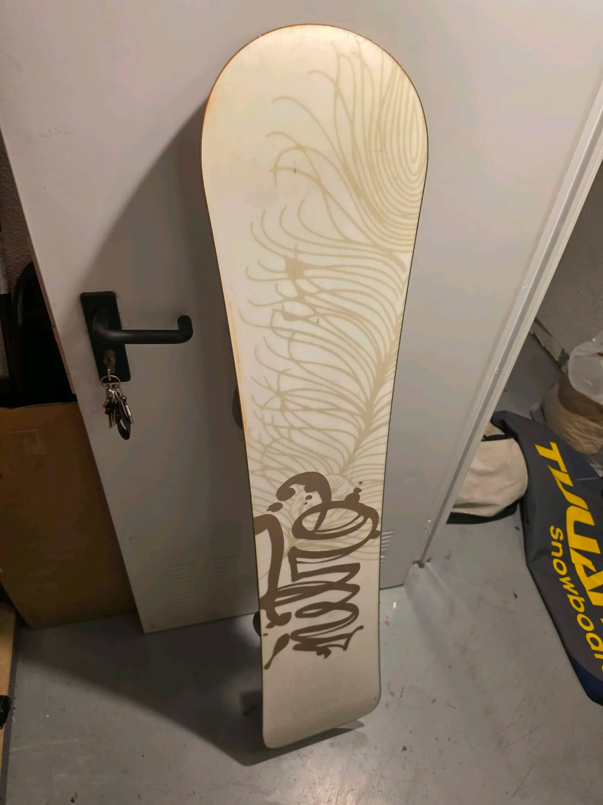 Imagen 2